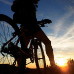 mtb